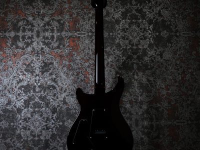 PRS S2 Custom 24 Faded Gray Black Purple Burst