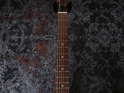 Epiphone Dobro Hound Dog M-14 Metal Body