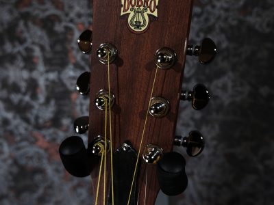 Epiphone Dobro Hound Dog M-14 Metal Body