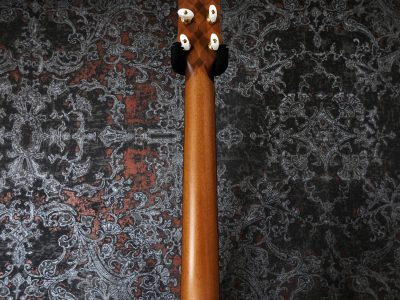 AYERS SJ08-NH Custom