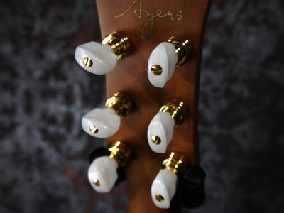 AYERS SJ08-NH Custom