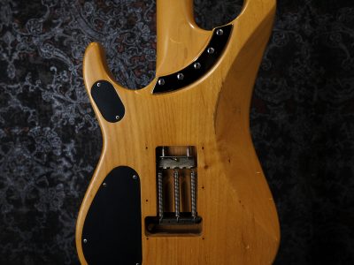 Washburn N4-NAT Nuno Bettencourt Signature Model