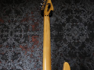 Washburn N4-NAT Nuno Bettencourt Signature Model