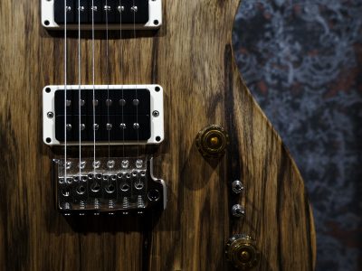 PRS CE 24-08 BLACK LIMBA LIMITED EDITION / Natural