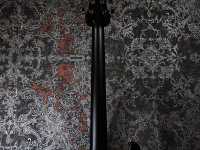 PRS CE 24 Custom Configuration -Whale Blue-