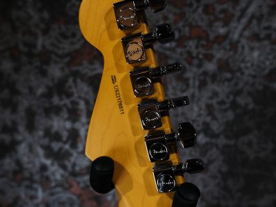 Fender American Professional II Stratocaster HSS RW Mercury