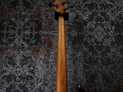 Sadowsky MetroExpress MX21 VJ5 FL with Lines