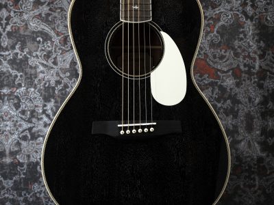 PRS SE P20E Dog Hair w/ Fishman Presys VT Pickup