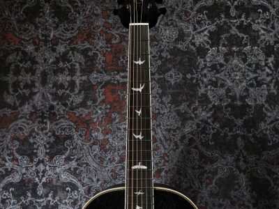 PRS SE P20E Dog Hair w/ Fishman Presys VT Pickup