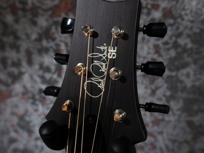 PRS SE P20E Dog Hair w/ Fishman Presys VT Pickup