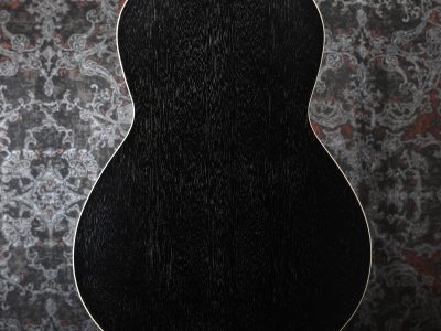 PRS SE P20E Dog Hair w/ Fishman Presys VT Pickup