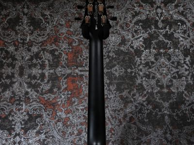 PRS SE P20E Dog Hair w/ Fishman Presys VT Pickup