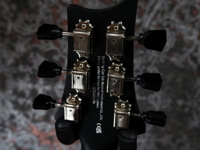 PRS SE P20E Dog Hair w/ Fishman Presys VT Pickup