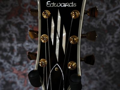 EDWARDS E-LP-130CD