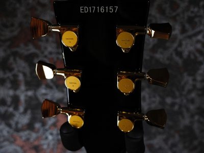EDWARDS E-LP-130CD