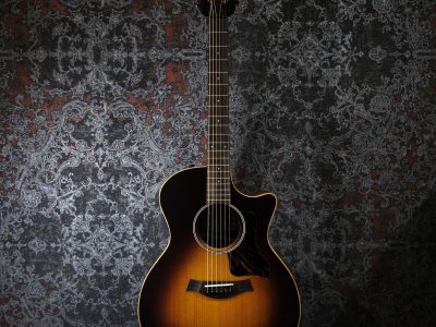 Taylor AD14ce-SB LTD -50th Anniversary-