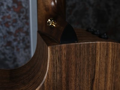 Taylor AD14ce-SB LTD -50th Anniversary-