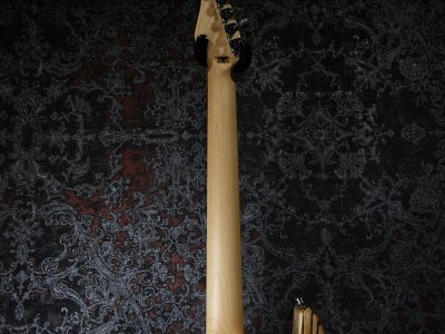 ESP SNAPPER-AS / M Burner