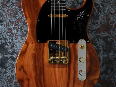 momose MT-SHIDAREZAKURA SP'23/E