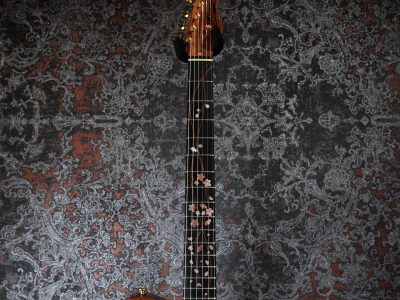 momose MT-SHIDAREZAKURA SP'23/E