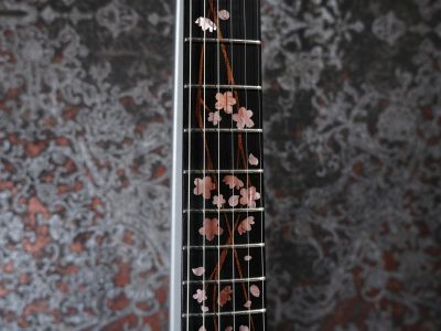 momose MT-SHIDAREZAKURA SP'23/E