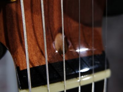 momose MT-SHIDAREZAKURA SP'23/E