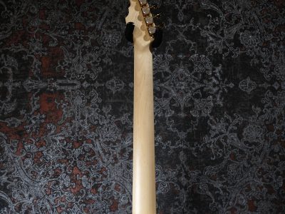 momose MT-SHIDAREZAKURA SP'23/E