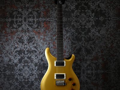 Paul Reed Smith(PRS) SE DGT Gold Top / Moon Inlays