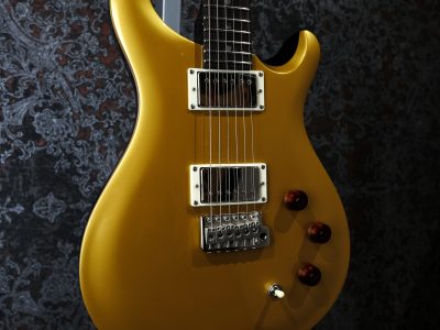 Paul Reed Smith(PRS) SE DGT Gold Top / Moon Inlays