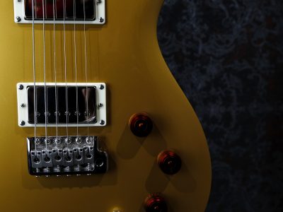 Paul Reed Smith(PRS) SE DGT Gold Top / Moon Inlays