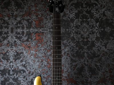 Paul Reed Smith(PRS) SE DGT Gold Top / Moon Inlays