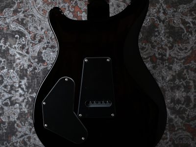 Paul Reed Smith(PRS) SE DGT Gold Top / Moon Inlays