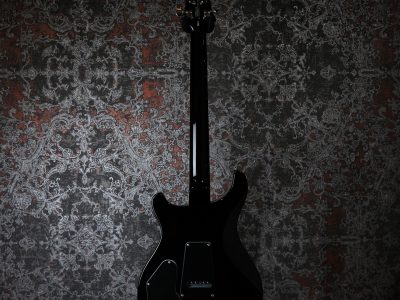 Paul Reed Smith(PRS) SE DGT Gold Top / Moon Inlays