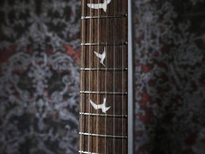 PRS 2024 SE Custom 24 Burled Ash Limited Edition Natural