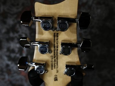 PRS 2024 SE Custom 24 Burled Ash Limited Edition Natural