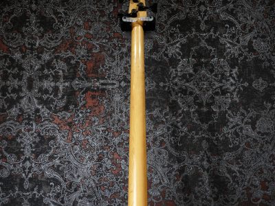 Spector NS-X 80's Steinberger