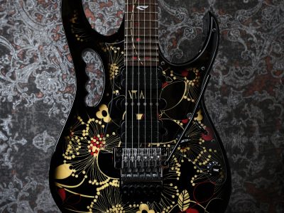 Ibanez JEM77 FP2 / Floral Pattern 2 / Steve Vai signature 2013
