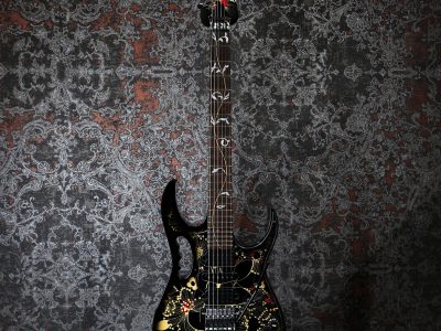 Ibanez JEM77 FP2 / Floral Pattern 2 / Steve Vai signature 2013