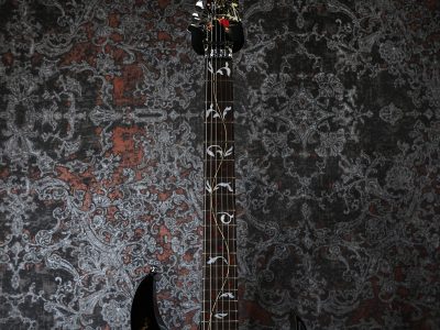 Ibanez JEM77 FP2 / Floral Pattern 2 / Steve Vai signature 2013
