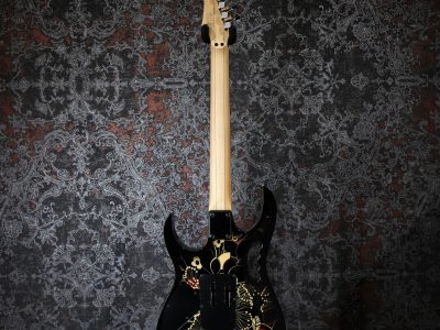 Ibanez JEM77 FP2 / Floral Pattern 2 / Steve Vai signature 2013