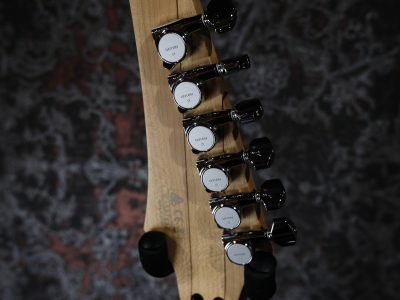 Ibanez JEM77 FP2 / Floral Pattern 2 / Steve Vai signature 2013