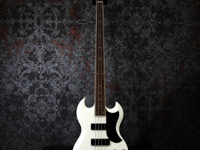 EDWARDS E-J-85MF White LUNA SEA J Signature