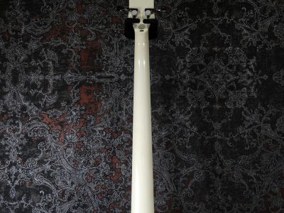 EDWARDS E-J-85MF White LUNA SEA J Signature