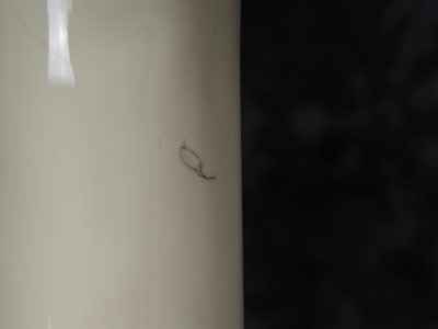 EDWARDS E-J-85MF White LUNA SEA J Signature