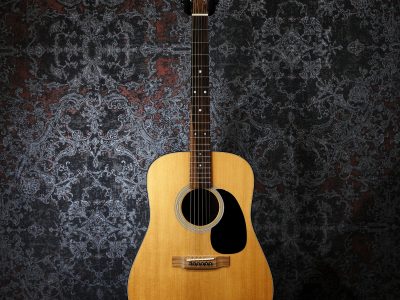 Martin D-18 175th Anniversary Model