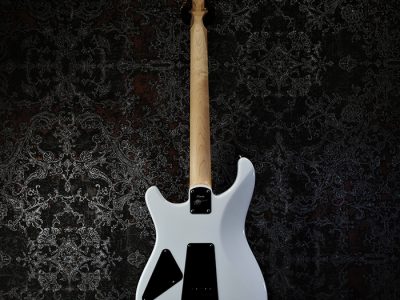 Paul Reed Smith 2024 Fiore Mark Lettieri Signature Model