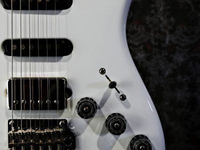 Paul Reed Smith 2024 Fiore Mark Lettieri Signature Model