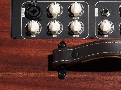 Taylor Circa 74 Acoustic Guitar & Vocal Amplifier / Mahogany with Stand