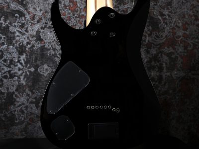 Ibanez RGIR28FE Black