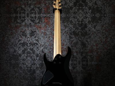 Ibanez RGIR28FE Black